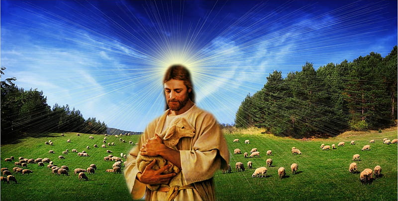 Good shepherd Jesus, christ, sheep, jesus, love, shepherd, god, HD wallpaper