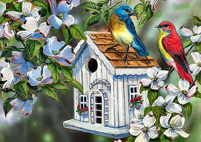 Dogwood Cottage F, art, songbirds, artwork, animal, dogwood, Bluebird, bird, avian, painting, wide screen, wildlife, Scarlet Tanager, HD wallpaper