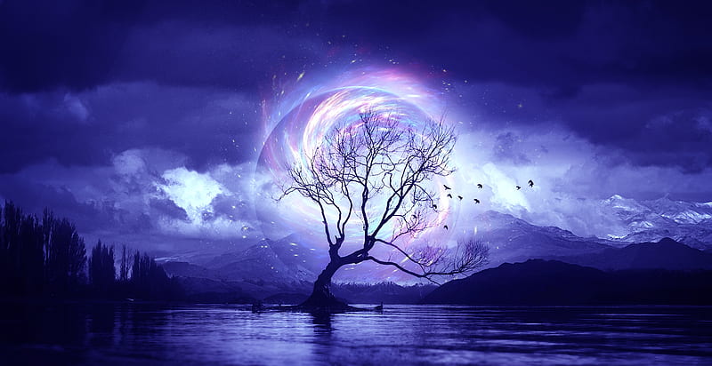 Fantasy, tree, moon, moon, pink, elena dudina, blue, elenadudina, luminos, water, HD wallpaper