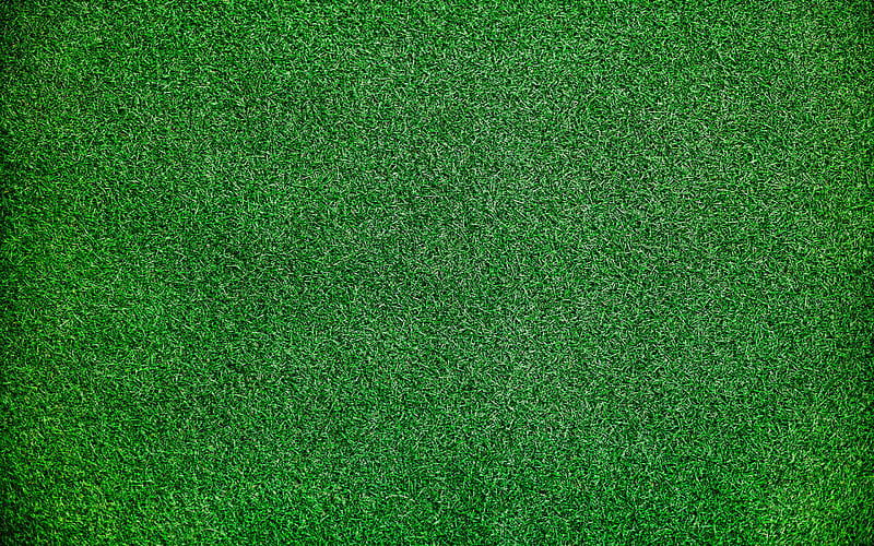 green grass texture, macro, green background, grass textures, green grass, close-up, grass from top, HD wallpaper