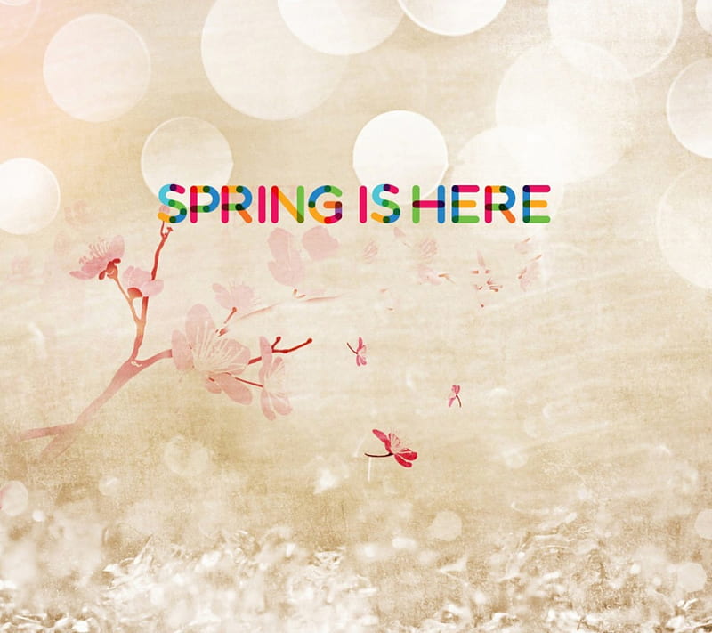 Spring Is Here, Signs, flower, phrases, spring, HD wallpaper