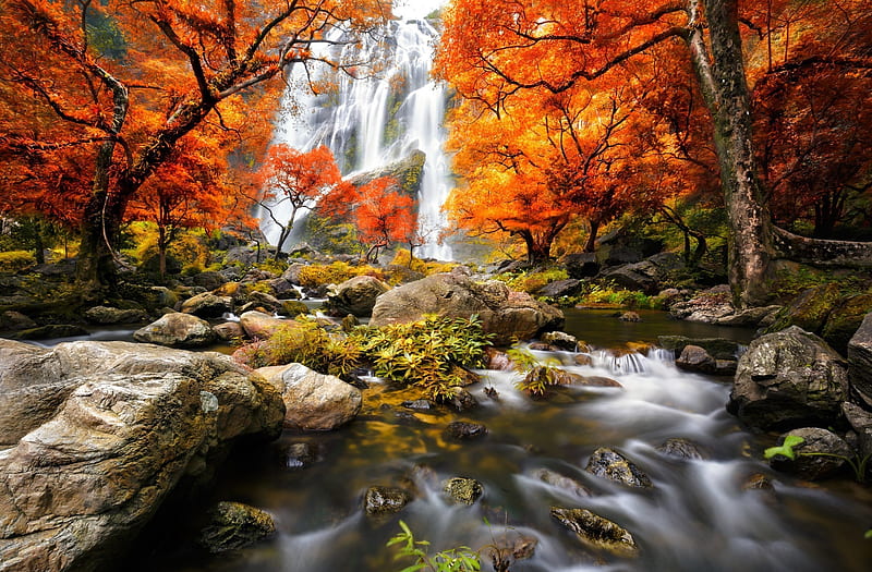 A Beautiful Scene, autumn, water, fall, orange, waterfall, colour, HD wallpaper