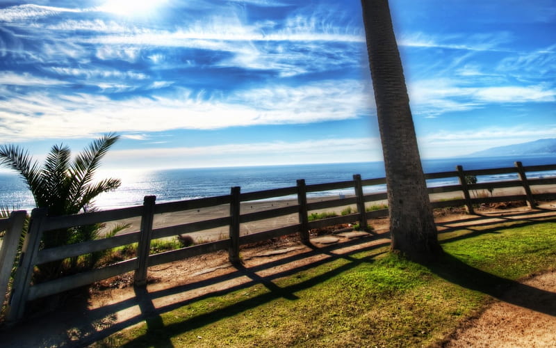 santa monica beach r, beach, tree, r, sky, sea, HD wallpaper