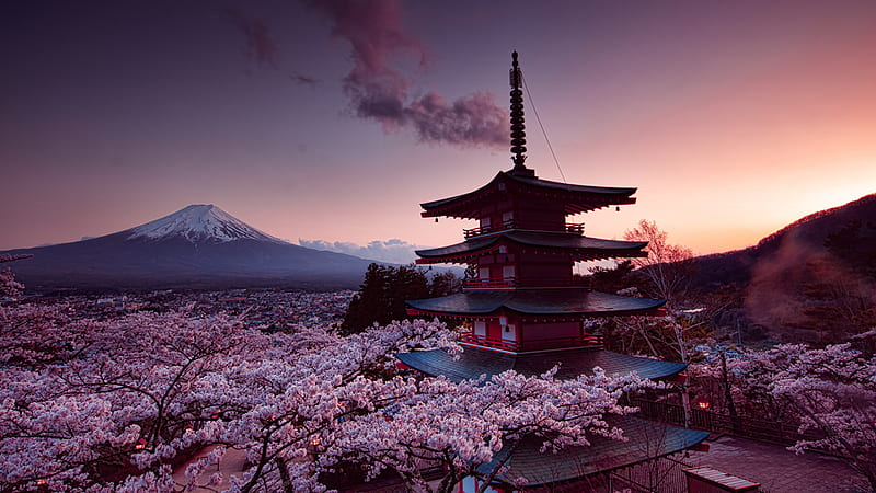 Earth, Japan, Spring, Cherry Blossom, Mount Fuji, Volcanoes, HD wallpaper