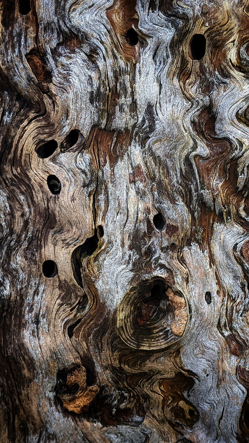 wooden, texture, bark, ribbed, HD phone wallpaper