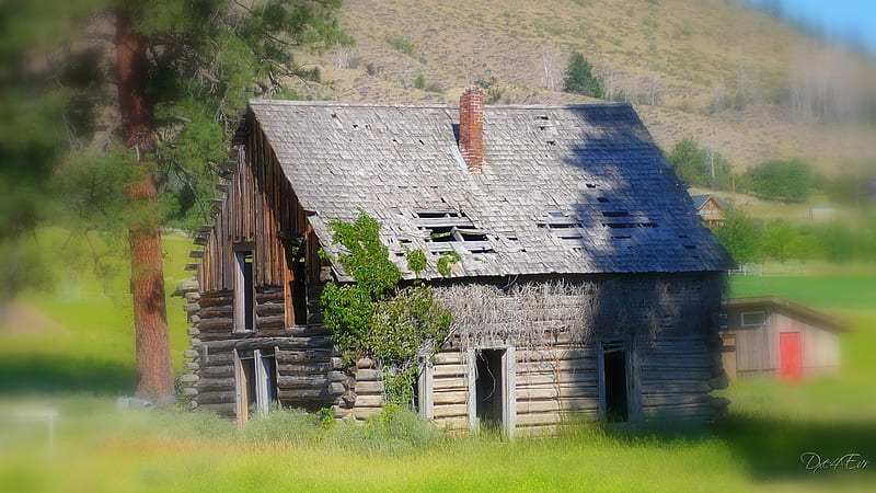 Old Winthrop, WA House, , house, pioneer, washington, log house, cabin, old, HD wallpaper