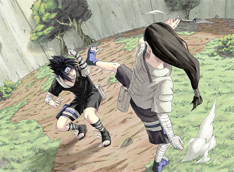 Naruto, Sasuke Uchiha , Neji Hyūga, HD wallpaper