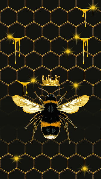 HD queen bee wallpapers | Peakpx