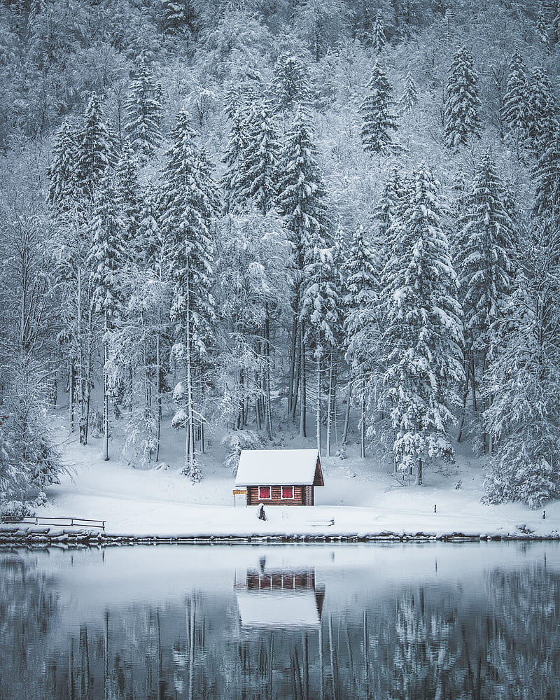 Frozen Winter House, HD phone wallpaper