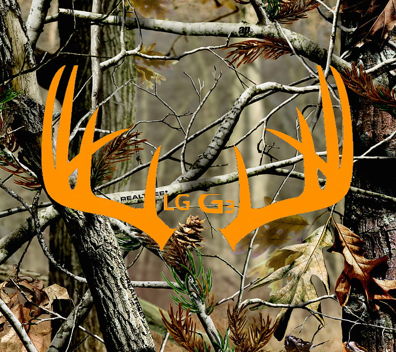 Antlers, buck, camo, hunting, lgg3, nature, orange, realtree, woods, HD wallpaper