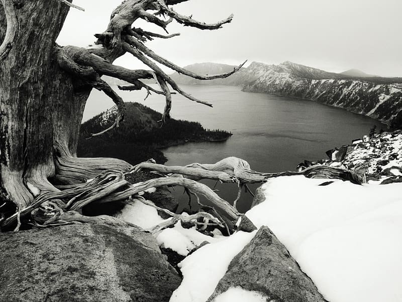 Landscape, Winter, Mountain, , Black & White, HD wallpaper