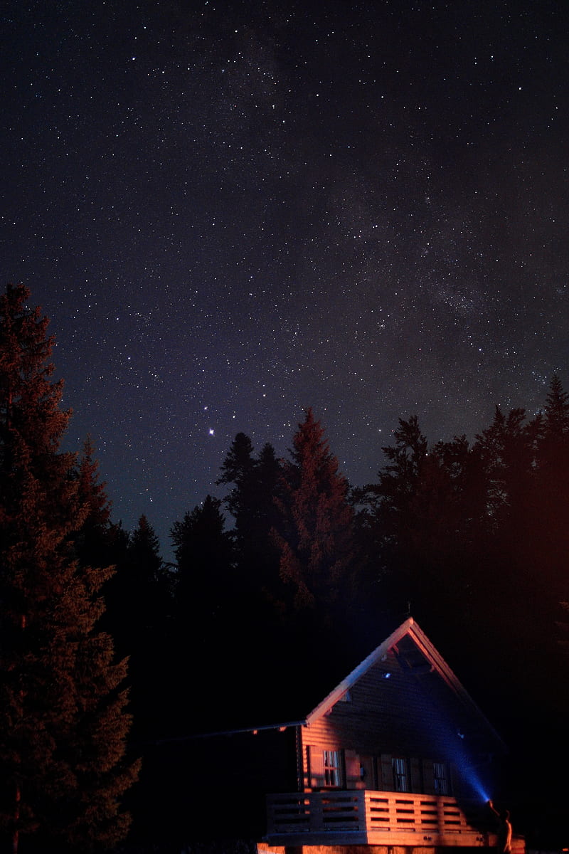 house, night, dark, trees, starry sky, HD phone wallpaper