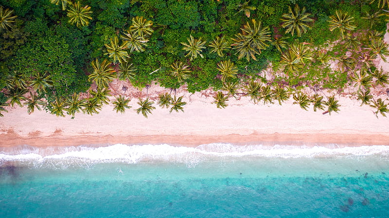 tropical island, palm trees, aerial view, top view, beach, waves, ocean, Nature, HD wallpaper
