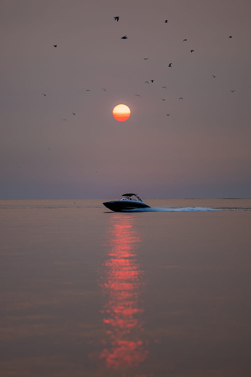 boat, sun, sunset, glare, birds, HD phone wallpaper