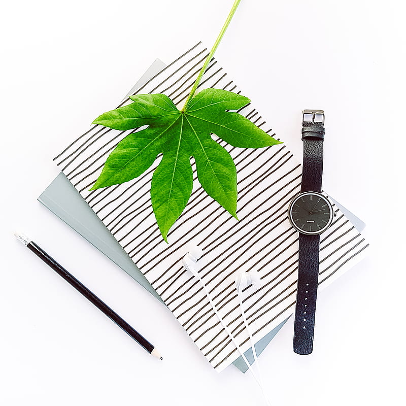 black round analog watch with black strap beside green leaves, HD phone wallpaper