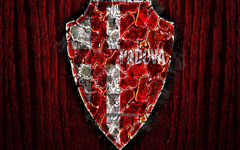 Calcio Padova, scorched logo, Serie B, red wooden background, italian football club, Padova FC, grunge, football, soccer, Padova logo, fire texture, Italy, HD wallpaper