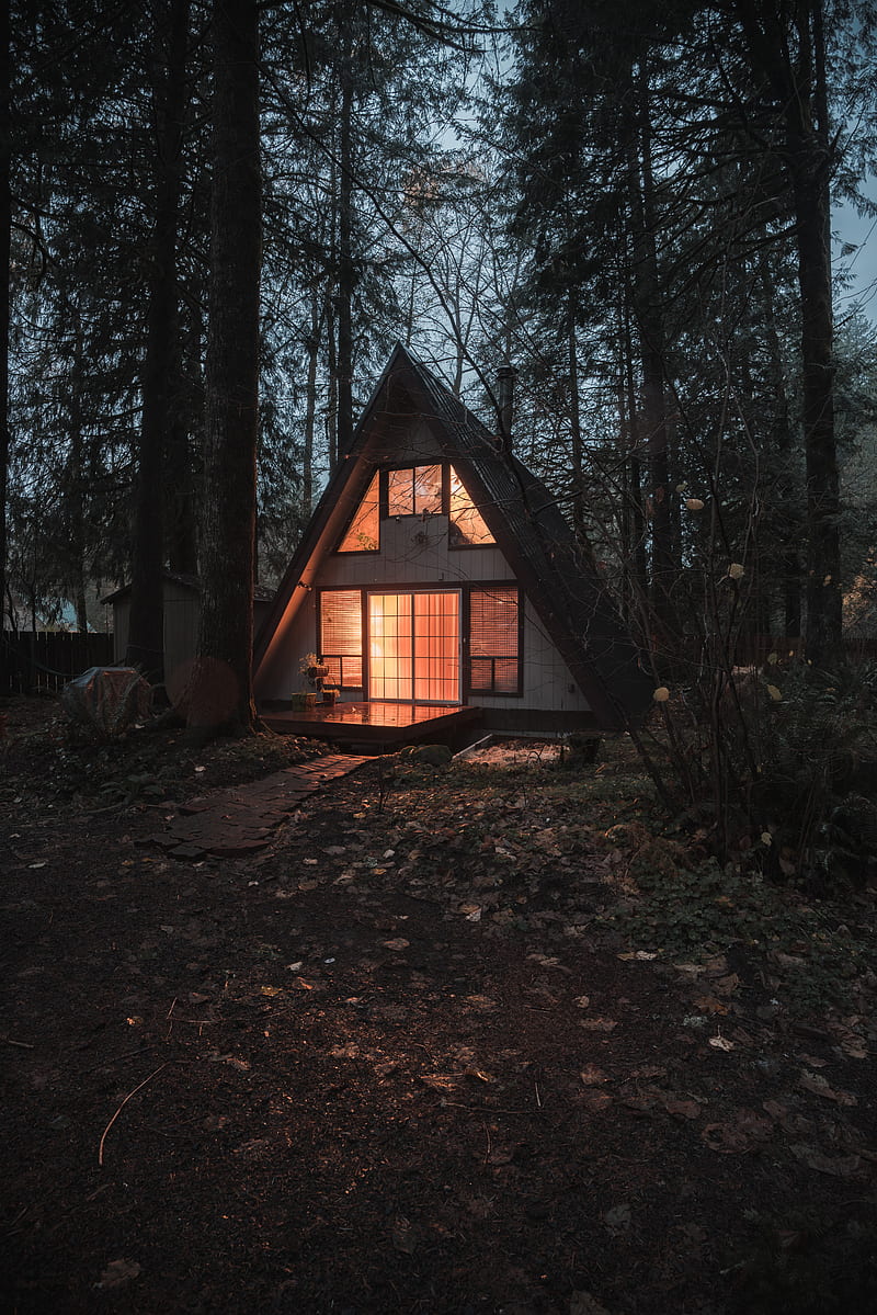 house, forest, trees, comfort, nature, HD phone wallpaper
