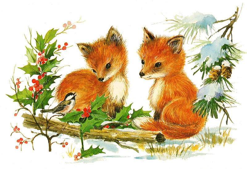 Merry Christmas!, red, christmas, orange white, animal, card, mistletoe, green, fox, bird, HD wallpaper