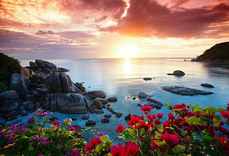 Morning Glory, morning light, rocks, Thailand, ocean, sky, clouds, beach, sand, flowers, sunrise, tranquility, HD wallpaper