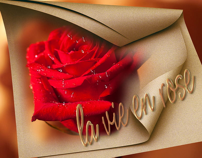 la vie en rose, red, rose, flowers, collages, abstract, HD wallpaper