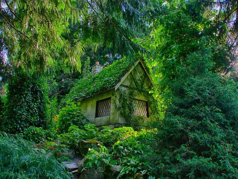 Ivy-Covered Cottage in Forest, house, green, nature, forests, trees, ivy, HD wallpaper