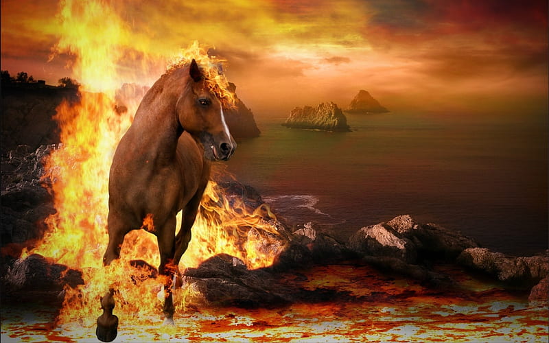 Kicking up a Fire Storm, beach, fire, horse, animals, HD wallpaper
