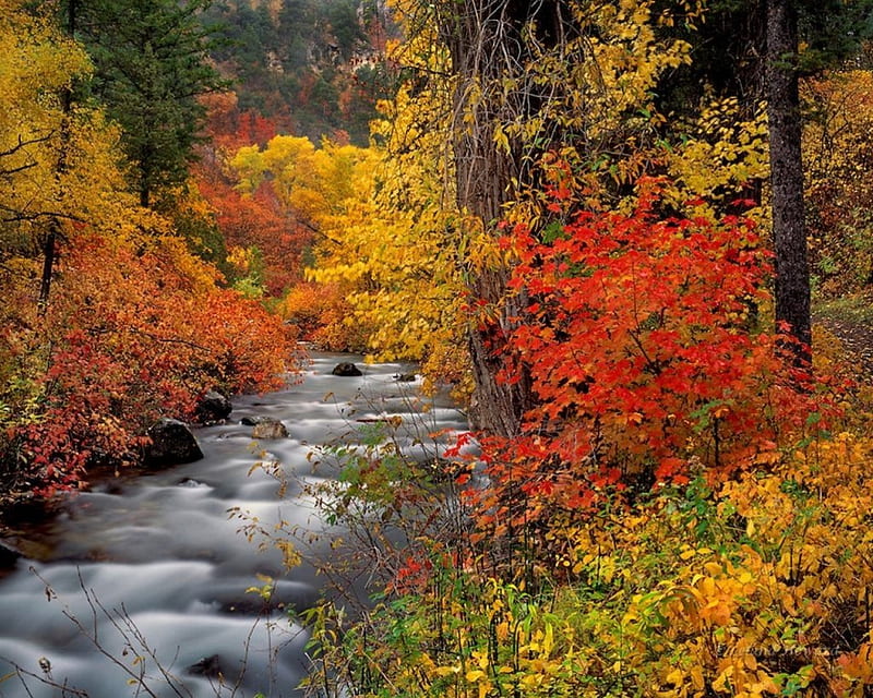 Palisades Creek, Snake River Mountains, fall, autumn, cascades, water ...