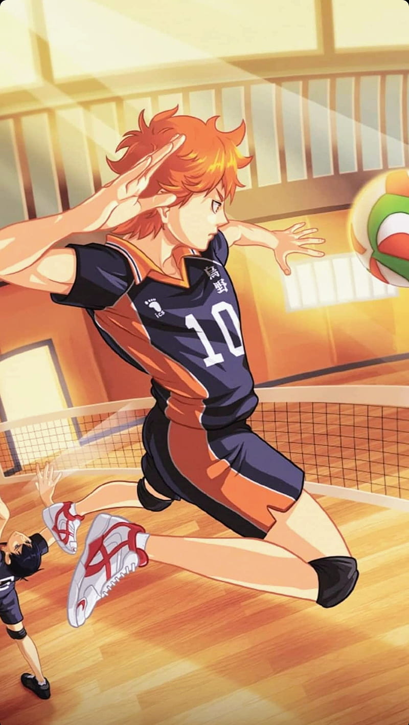 Shoyo Hinata Haikyuu Volleyball 4K Wallpaper #7.2830