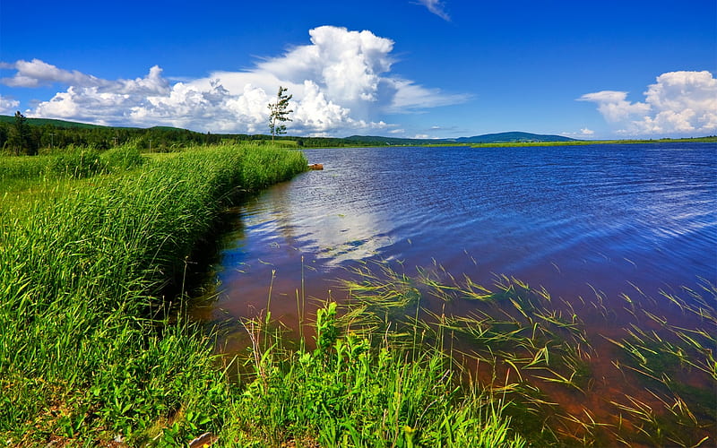 Great Blue Lake, deep blue, white clouds, green grass, sky, lake, HD wallpaper