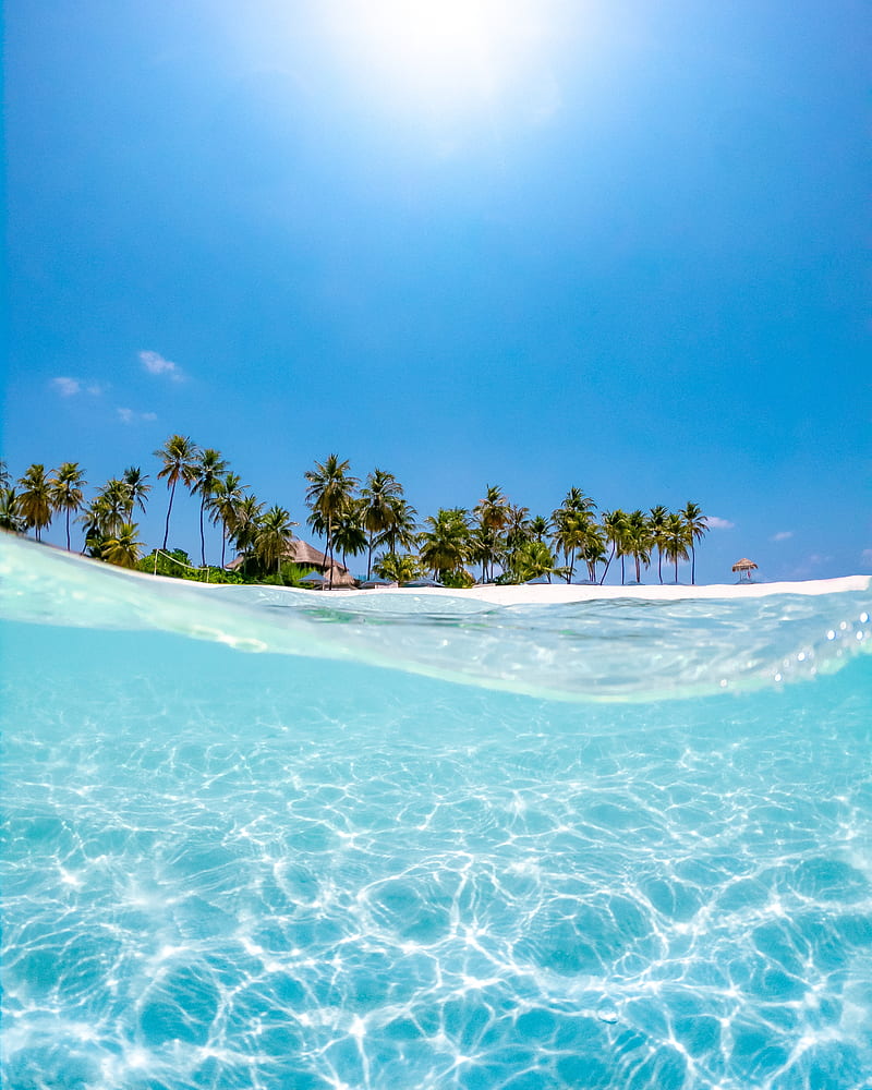 sea, palm trees, sun, beach, wave, water, blue, HD phone wallpaper