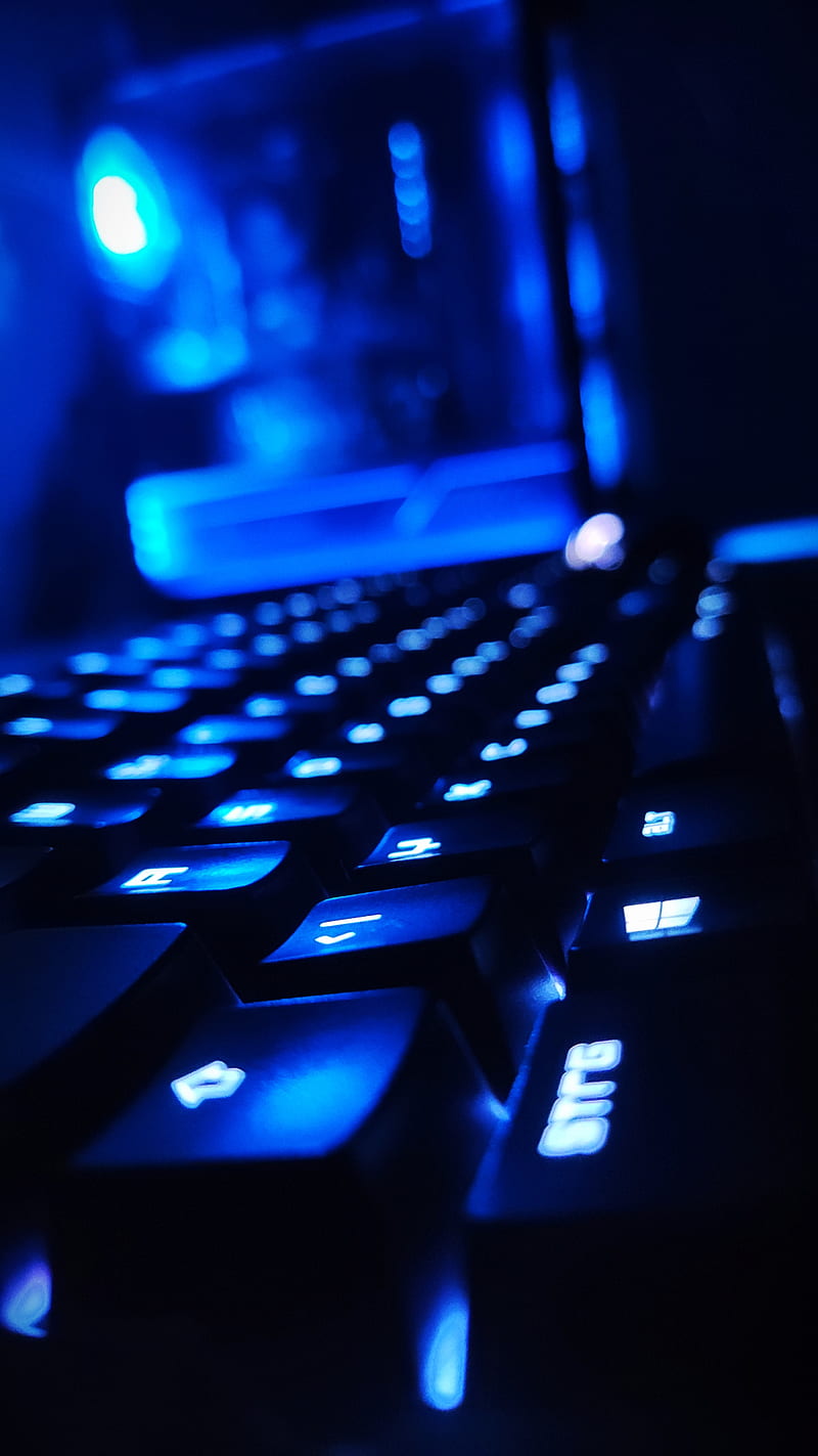 Keyboard, blue, computer, razer, rgb, white, HD phone wallpaper