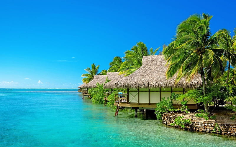 Maldives, Tropical islands, beach, palms, travel, rest, summer, tropics, HD wallpaper