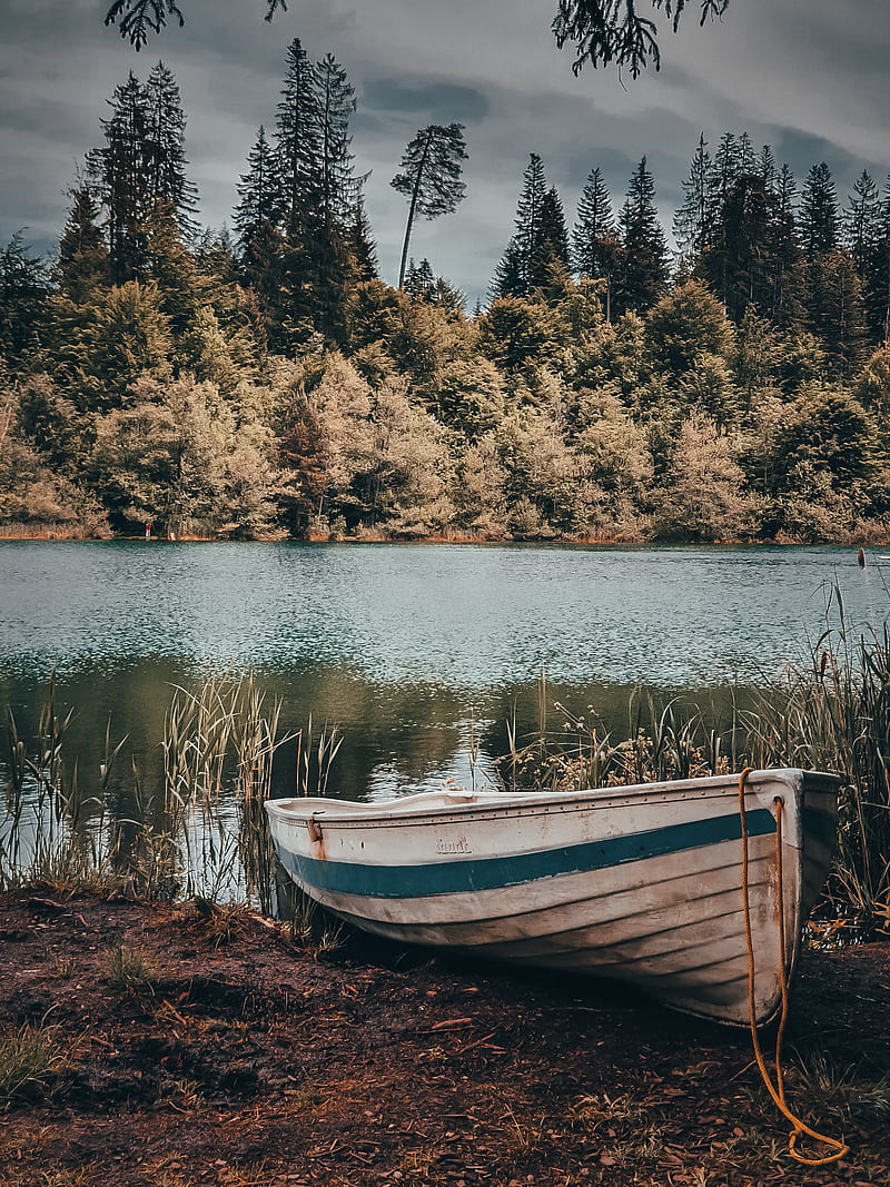 boat, river, shore, trees, HD phone wallpaper