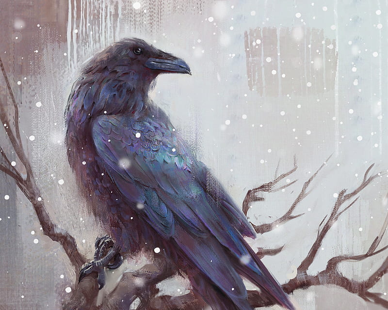 Raven in snow