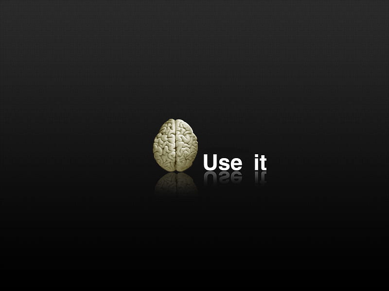 Background for Stupid People, black, use, useage, brain, HD wallpaper