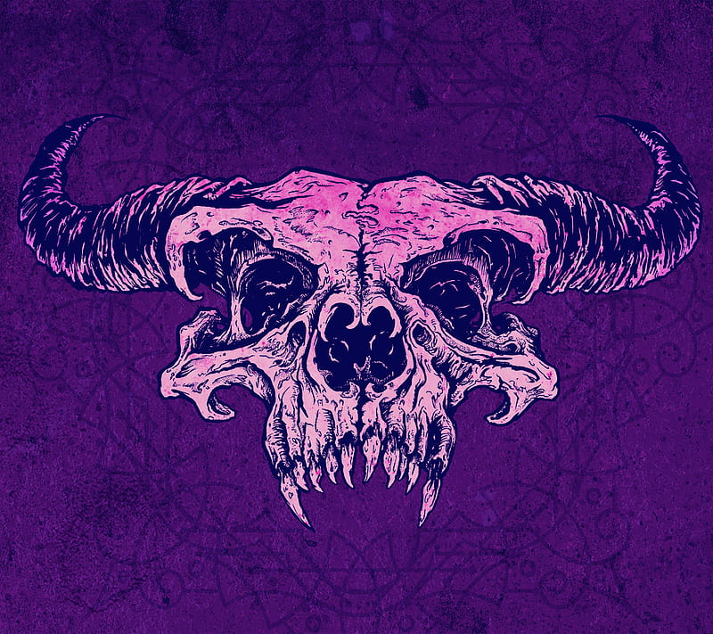 Skull, purple, taurus, HD wallpaper