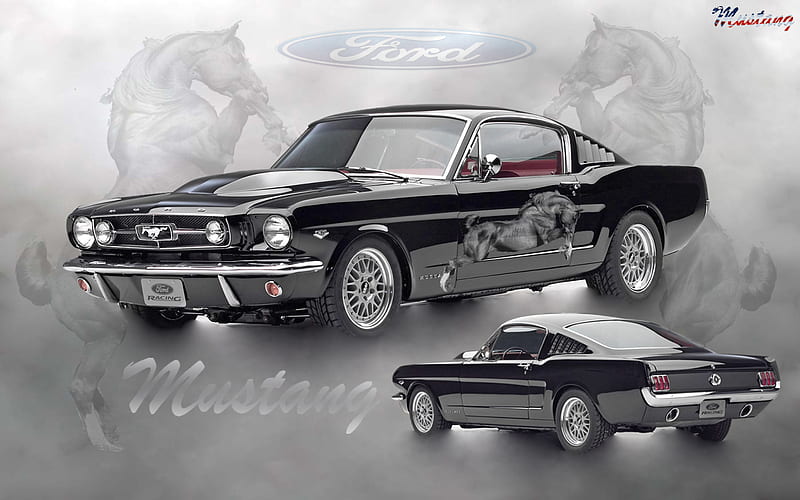 1965 Ford Mustang, mustang, 1965, hot, cool, HD wallpaper