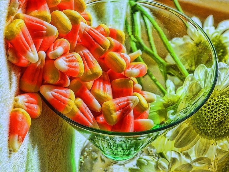✿⊱•╮Candy Corn Cocktail╭•⊰✿, lovely still life, fall, cocktail, autumn, holiday, halloween, colors, love four seasons, still life, graphy, candy corns, flowers, HD wallpaper