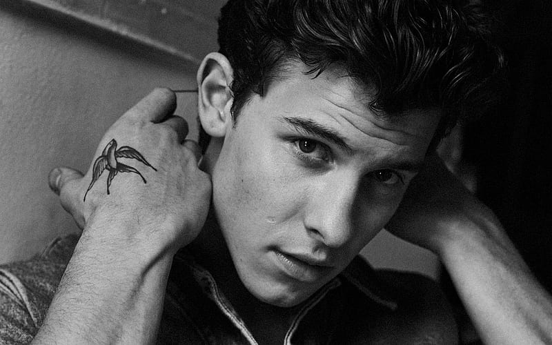 Shawn Mendes, canadian singer, portrait, hoot, popular singers, canadian celebrity, Shawn Peter Raul Mendes, HD wallpaper