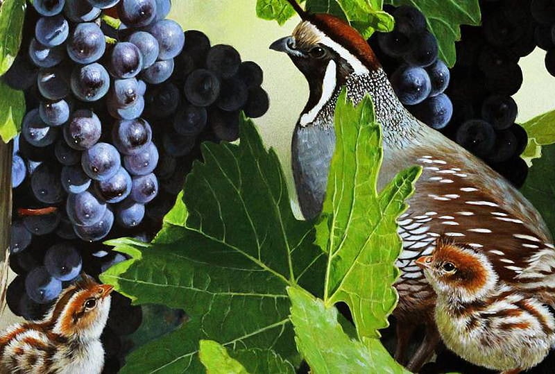 Hen with Chicks, grapes, leaves, painting, poultry, artwork, HD wallpaper