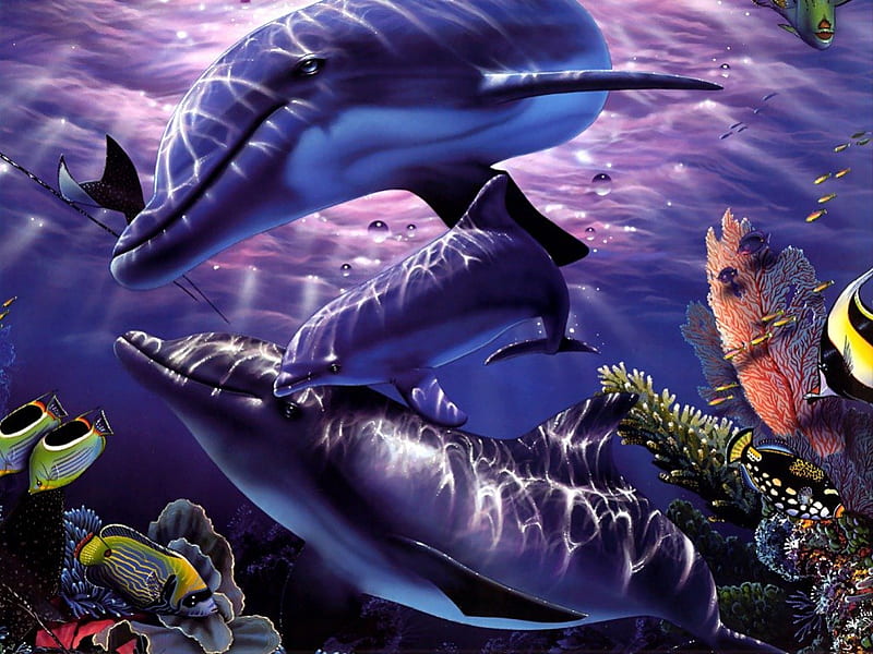 Delfines, colorido, mundo acuático, delfín, 3d, agua, peces, 3d y cg, Fondo  de pantalla HD | Peakpx