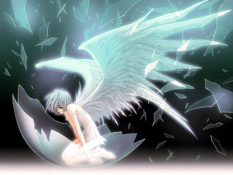Angel Reborn, egg, reborn, anime, angel, HD wallpaper | Peakpx