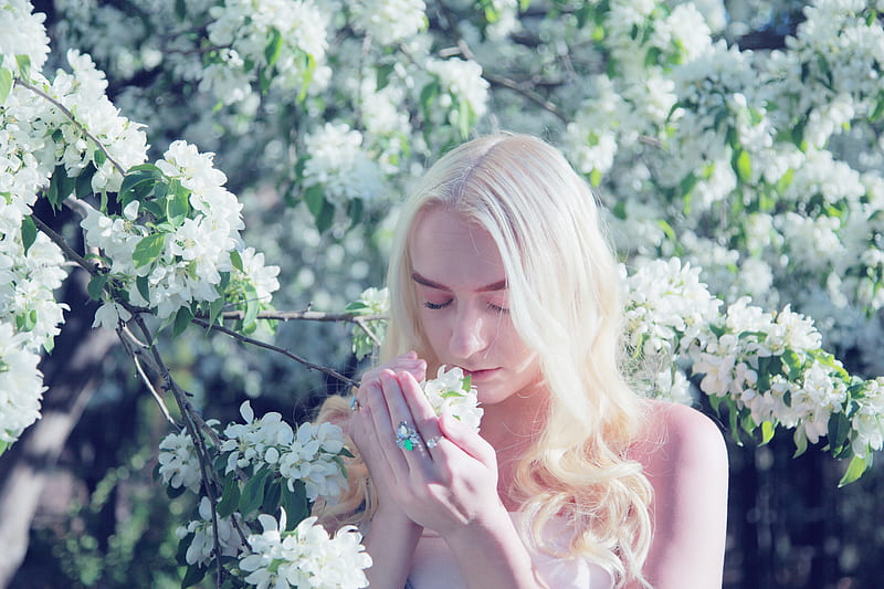 woman smelling flower during daytime, HD wallpaper