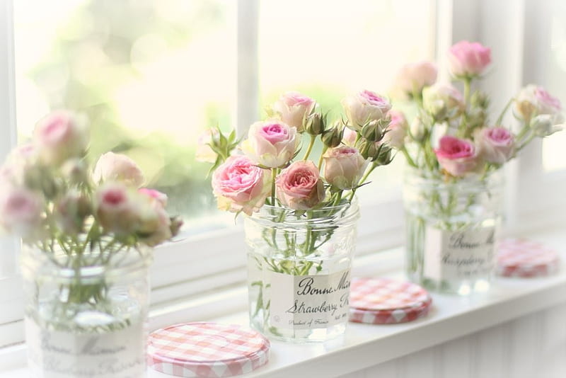 Roses on the window sill, window, bloom, rose, roses, glass, flower, flowers, petals, pink, HD wallpaper
