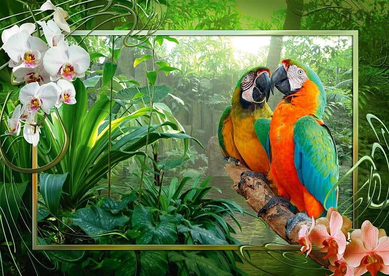 Parrots in the jungle, art, exotic, greenery, bonito, parrot, trees, orchids, plants, jungle, flowers, animals, HD wallpaper