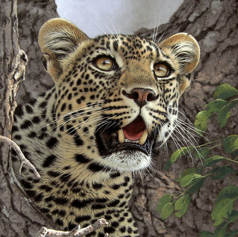 Leopard, pictura, art, painting, face, fuz caforio, animal, HD ...