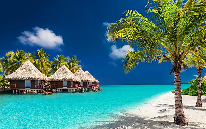 palms, tropical island, Maldives, bungalow, ocean, summer, vacation, white sand, beach, HD wallpaper