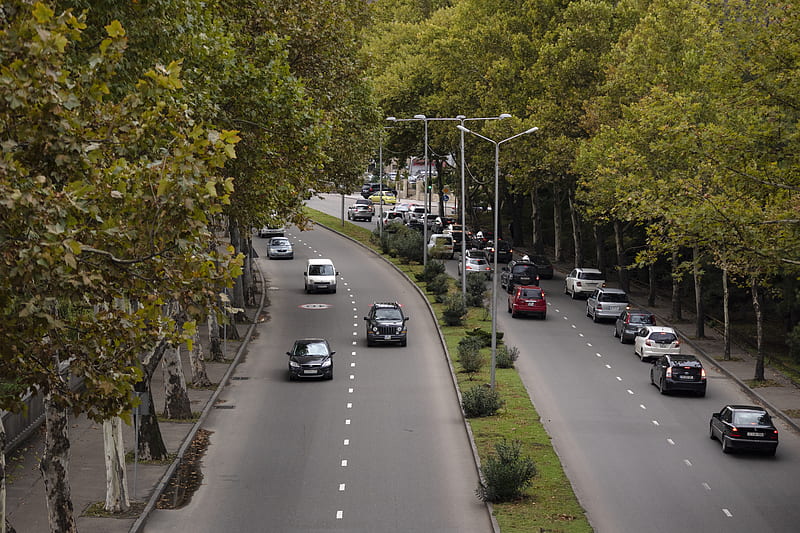 cars passing on road surrounded with trees, HD wallpaper