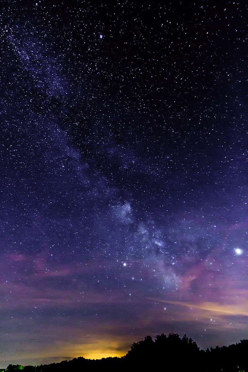 starry sky, stars, trees, silhouette, nebula, HD phone wallpaper
