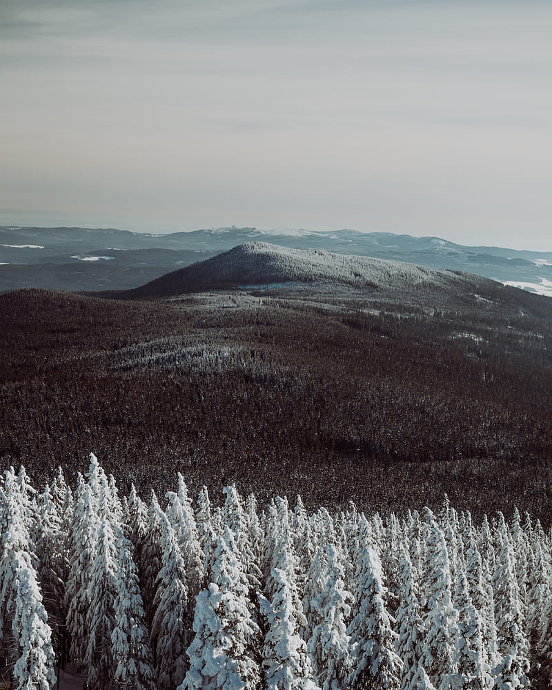 mountains, fog, trees, snowy, sky, HD phone wallpaper